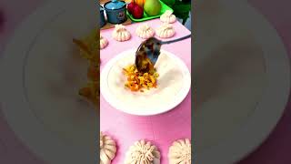 Momo recipe food momos youtubeshorts breakfastrecipes [upl. by Anyela857]