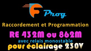 CÂBLAGE ET PROG RE432M et RE862M CAME avec relais monostable pour éclairage 230V [upl. by Qerat]