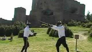 Longsword some techniques III [upl. by Dublin]