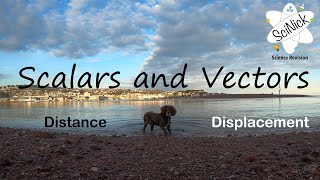 Scalars and Vectors  Forces  AQA GCSE Physics Paper 2 2021 Featuring doggo [upl. by Varien330]