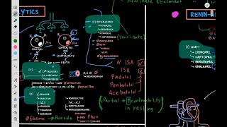 Therapeutics Hypertension 3 beta blockers [upl. by Dobson]