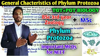 General Characteristics of Phylum Protozoa  BSc 3rd year Zoology  MSc  PGT Exam Preparation [upl. by Liamsi481]