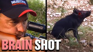 Hog Hunt With Airgun HD  GAMO Hunter Extreme 25 caliber [upl. by Attiuqram]