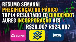 PREÇOS DE PANICO TRPL4 GRANDE DIVIDENDO BBAS3 NOVAMENTE INTERESSANTE [upl. by Jill]