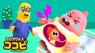 赤ちゃんが生まれるよ🤰  A Baby is Born お腹が痛いよ！ 子供向け教育の歌  童謡 Kids Song  ココビ トイ キッズおもちゃと童謡  Kids Cartoon [upl. by Elonore385]