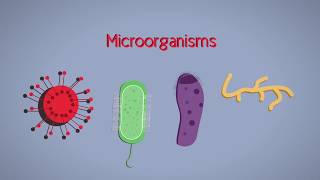 What are pathogens [upl. by Livvie]