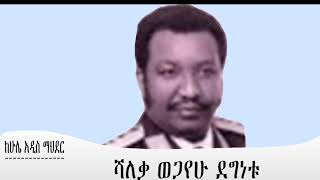 Hule Addis Mengizem Media Shaleka Wegayehu Degnetu by Tewolde BeyeneTeborne Jan122 [upl. by Notreb]