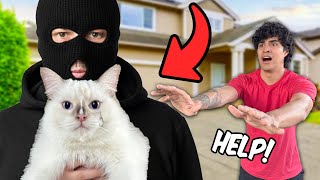 Someone Stole My Cat Big Reveal [upl. by Sal103]