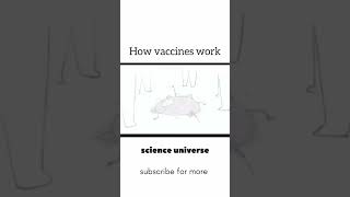 How vaccine works  funnyshorts biology 1million viralshorts [upl. by Lednic530]