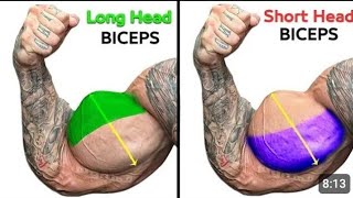 Full Biceps Curls  short Head  Long Head  Brachialis [upl. by Therese]