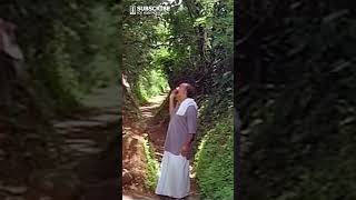 ഒരു മരക്കിഴങ്ങൻ 😂😂😂  Innocent Comedy  Paravoor Bharathan Comedy  Mazhavilkavadi Comedy [upl. by Eanej]