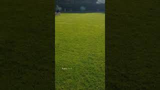 IS It WORTH IT Scarifying And Aerating [upl. by Nywrad]