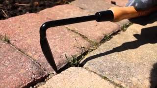 Leonard Cape Cod Weeder [upl. by Kenyon870]