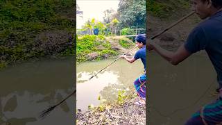 Fishing BD part 132 fish fishing shorts [upl. by Watters157]