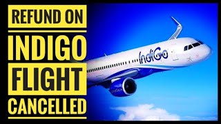 How to cancel indigo flight and get refund  Flight91 [upl. by Nnayrb]