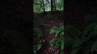 Ireland 🇮🇪 hike with me  asmr hiking ireland [upl. by Bab273]