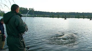 Pecanje šarana jezero Tresetište  Palić  Tresetiste Carp Fishing Lake [upl. by Azar735]