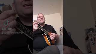 The Fields of Athenry  The Dubliners Cover [upl. by Maurilia70]