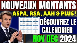 Nouveaux Montants  ASPA RSA AAH amp Plus  Découvrez le Calendrier NovDec 2024 [upl. by Rothmuller]