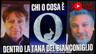 Lincredibile storia occulta di Q Dentro la tana del bianconiglio [upl. by Oab]