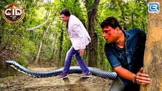 Mission के दौरान Abhijeet का हुआ इस खतरनाक सांप से सामना  Latest Episode  BEST OF CID  New EP [upl. by Maxfield]