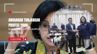 PENJELASAN MENTRI KEUANGAN TENTANG TUNJANGAN PROFESI GURU DIDEPAN KOMISI XI DPR RI [upl. by Noiek]