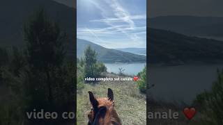 SORPRESA A CAVALLO 🏇 nature music adventure horseriding sister [upl. by Seftton125]