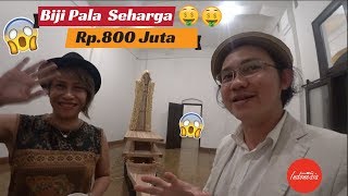 WOOWWW Biji Pala Seharga 800 Juta Semarang VLOG [upl. by Dekeles]