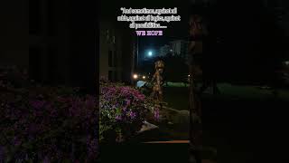 shutterbug flowers love nightshootnightshooters viewtraveltrendingyoutubeshorts viralvideo [upl. by Namqul141]