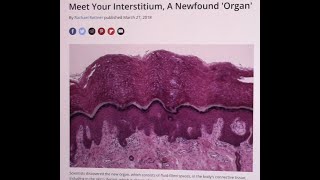 New Organ Discovered in the Human Body [upl. by Erotavlas722]