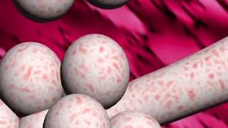 Tuberculosis review  animation and narration by Dr Cal Shipley MD [upl. by Yorle123]