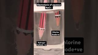 electrolysis experiment science water chemistry amazingshorts youtubeshorts [upl. by Cirilo]