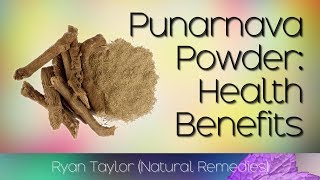 Punarnava Powder Benefits and Uses [upl. by Aciretal]