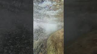 Iao Stream  Maui Hawaii 20241102 0906 watersounds shorts IaoValleyStream [upl. by Ajram]