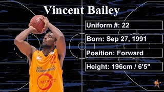 Vincent Bailey 20142015 Highlights [upl. by Vezza]