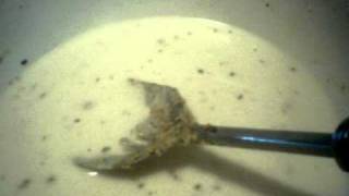 homemade milk gravy for our casserole [upl. by Alon812]