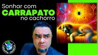 SONHAR COM CARRAPATO NO CACHORRO [upl. by Servetnick]