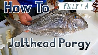 Filleting Fish With A Sea Grant Agent Jolthead Porgy [upl. by Casilde]