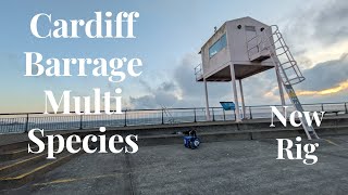 Cardiff Barrage Multi Species Catching Bristol Channel Using The Bagnall Bar Rig [upl. by Cudlip909]