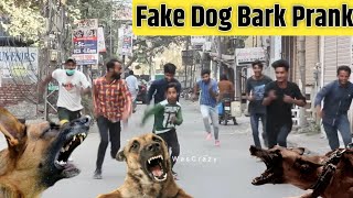 Fake Dog Bark Prank 🤣 Part2  Dog Biting Prank in India [upl. by Jere313]