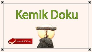 AYT Biyoloji  Kemik Doku sayfa52 [upl. by Danna268]