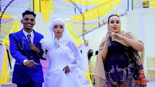 SHAADIYO SHARAF HEES CUSUB  GALBIS  MUSIC VIDEO 2022 [upl. by Einnal]