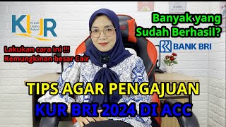 TIPS AGAR PENGAJUAN KUR BRI 2024 DI ACC [upl. by Ecad886]