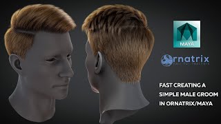 How fast create a simple male groom in Ornatrix  Maya [upl. by Clough]