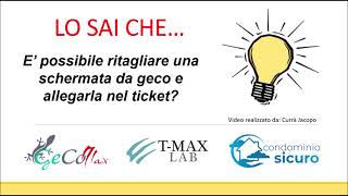 729  Come ritagliare una schermata e allegarla nel ticket [upl. by Tabber]