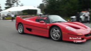 Ferrari F50 [upl. by Lindsey571]