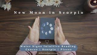 New Moon in Scorpio  Water Signs Intuitive Reading  Cancer Scorpio Pisces [upl. by Hulda]