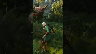 The Witcher 3 Wild Hunt 29 merurpg [upl. by Anyah]