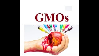 Genetic Modified Organism  GMOs  2024 [upl. by Akeylah472]