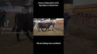 Bailey Black Lot 212 [upl. by Hayidan]